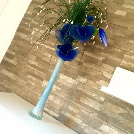 아파트 Sunset 트로기르